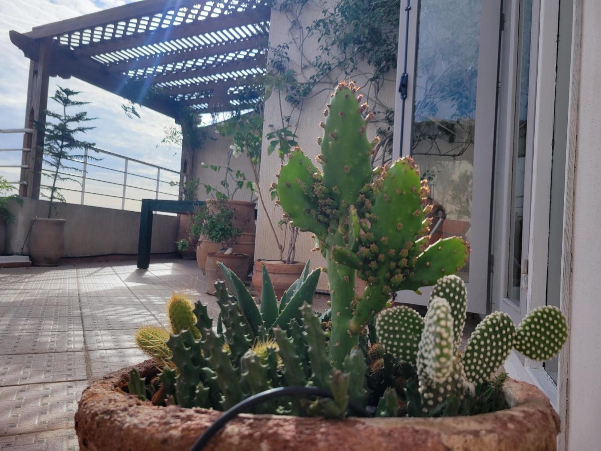 Terrazas Mogador Appartement